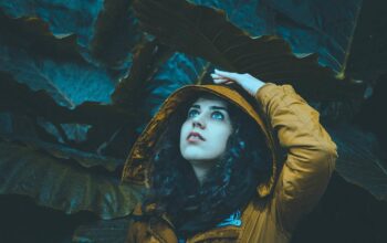 StockSnap_ZY41T9GFX7