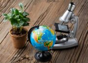 Takson, Cara Ilmuwan Mengklasifikasikan Seluruh Makhluk di Bumi